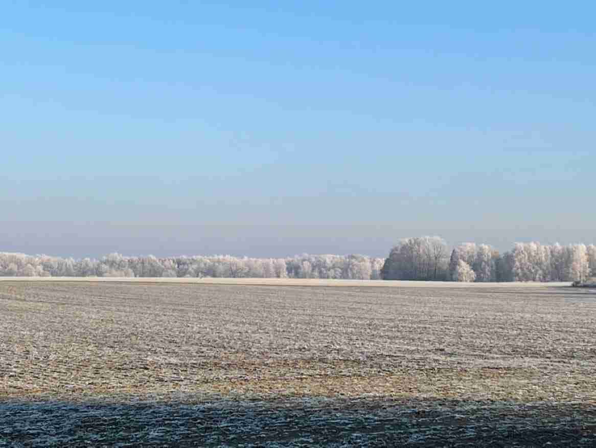 Winterlandschaft in Schönerlinde